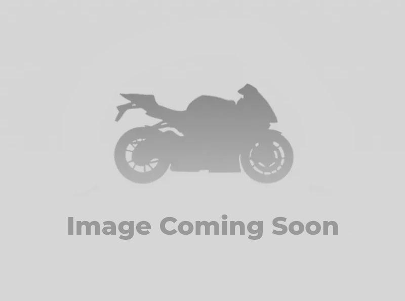 Electric Scooters